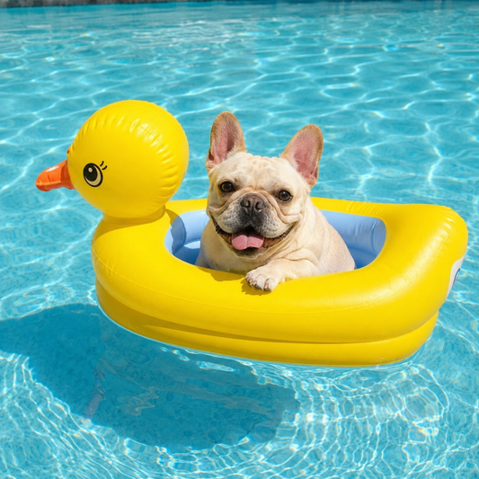QuackCruiser Yellow Duck Inflatable Pool Float for Small Pets & Supervised Water Play